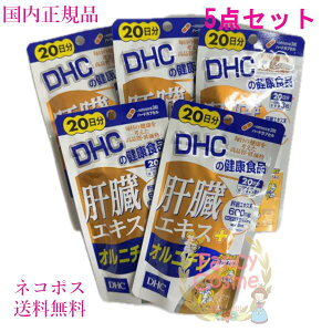 DHC ̑GLX{Ij` 100 (20×5) ܖ2028Nȍ~ NHiyKiElR|Xi|Xgjz