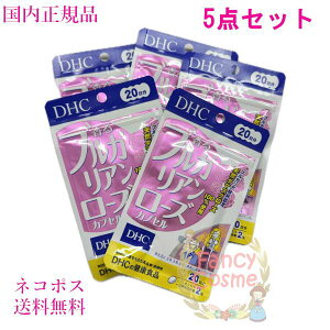 DHC uKA[YJvZ 100 (20×5) ܖ2028N3ȍ~ NHiyKiElR|Xz