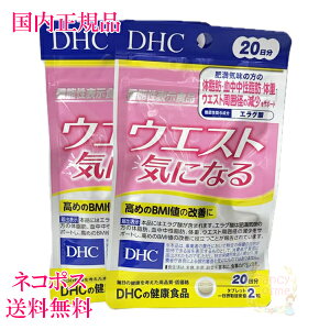 DHC EGXgCɂȂ 40 (20×2) ܖ2027Nȍ~ mNHinyKiElR|Xz