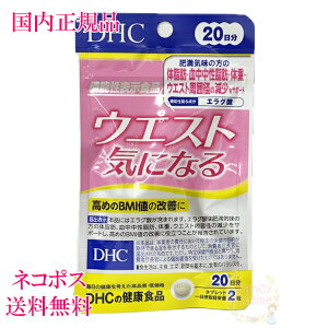 DHC EGXgCɂȂ 20 (40) ܖ2027Nȍ~ mNHinyKiElR|Xi|Xgjz