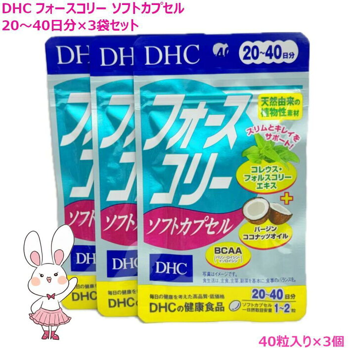 楽天市場】【賞味期限2028年7月以降】DHC フォースコリー 20日～40日分 