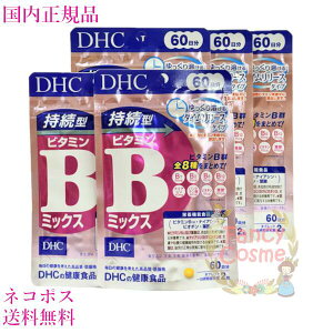 DHC ^r^~B ~bNX 300i60×5܃Zbgj Tvg ܖ2027Nȍ~yKiElR|Xz