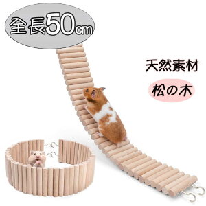   ͂ 50cm nX^[  Ki ό` Vя Ȃ  WKA S[f bg B nEX VR