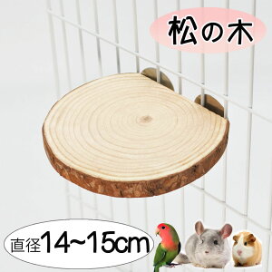  ̖ Xe[W  ~܂ 傫 VR Xebv Xe[W {  Ki tg ۂ Vя ꖂ a14~15cm