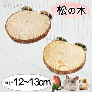 y2Zbgz ̖ Xe[W   `` fO[ Xebv bg { CR ~܂ VR Ki 傫 ۂ F  ^CR a12-13cm