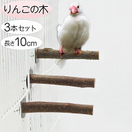 インコ セキセイインコ ボタンインコ マメルリハ カナリア 短め 止まり木 小型インコ リンゴの木 林檎 鳥…