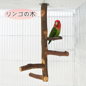鳥 止まり木 タワー インコ カナリア 文鳥 十姉妹 多頭 複数 枝 りんご リンゴの木 爪とぎ パーチ 木 遊び場 林檎 天然木 大きめ 枝 複数 吊るす モモンガ リス 鳥止まり木