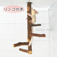 モモンガ タワー りんごの木 爪研ぎ 遊び場 登る 枝 りんご パーチ 木 林檎 天然木 枝 ケージ 吊るす フ…