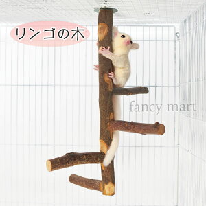 K ^[ 񂲂̖ ܌ Vя o }  p[`  ь VR } P[W ݂邷 tNK Ki 