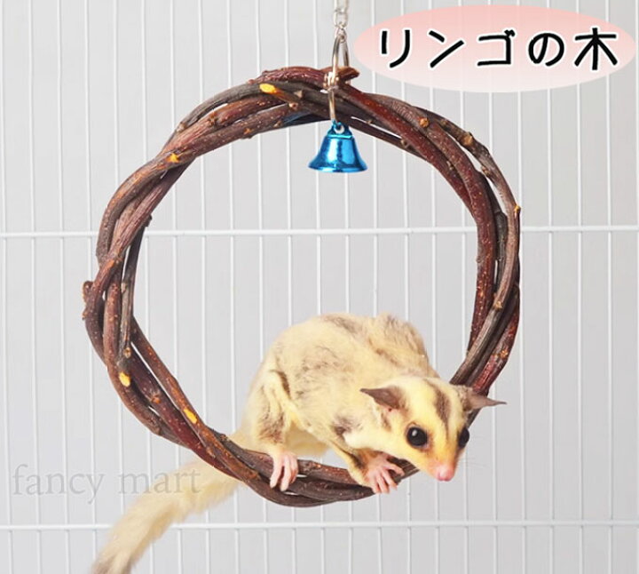 楽天市場】小動物 モモンガ りんごの木 爪研ぎ 遊び場 登る 枝 りんご 