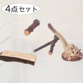 小動物 モモンガ 止まり木 ステージ 4点 セット 爪研ぎ ステップ 遊び場 りんご 天然木 自然木 Y型 半円 枝 リンゴの木 りんご パーチ フクロモモンガ ケージ 取り付け かじり木
