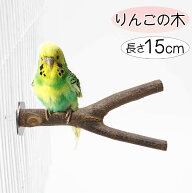 止まり木 Y型 インコ セキセイインコ 鳥 爪研ぎ 自然木 林檎 りんご 枝 ボタンインコ マメルリハ コザク…