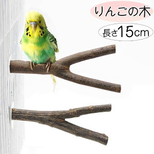 CR ZLZCCR  ~܂ {^CR }n RUNCR Y^ S̖ ь ^CR ^CR Xebv p~܂ ܂Ƃ p[` Ki Vя VR Ji