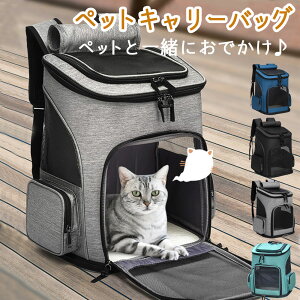 【猫用・キャリーバッグ】便利でつかいやすい、見た目もおしゃれなオススメは？(予算1万円)