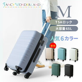 P10倍29日まで！【60%OFF】スーツケース mサイズ 軽量 キャリーバッグ キャリーケース m かわいい おしゃれ レディース ビジネス メンズ 旅行カバン 安い suitcase 中型 キャリーバック TSAロック ブランド トランクケース ty8098