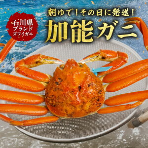 yo׊Jnz ΐ쌧Y \Kj {YCKj p {C 1t 350g`400g(Jj400g`450g) \o   Y \I YKj IX I݂ Ε Ε  Mtg i k {C  