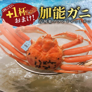 yhǂƂtv[gIz ΐ쌧Y \Kj {YCKj {C 1t 500g(Jj550g) 䥂ŃKj \o   Y \I YKj IX I݂ Ε Ε  Mtg 