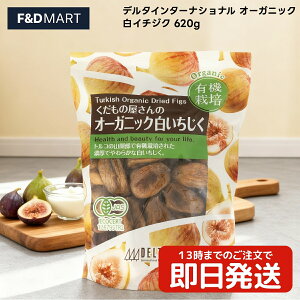 5%OFFN[|E|Cg2{f^ ̉ I[KjbN hCC`WN 620g gRY Y sgp hCt[c e H@ wV[  َq p