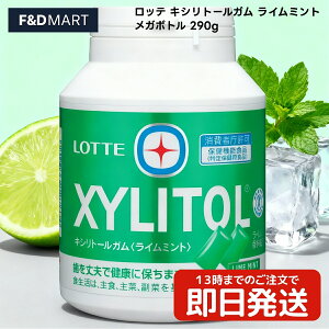 5%OFFN[|E|Cg2{be LVg[K C~g K{g 290g یpHi gNz v e {gK t@~[{g LOTTE XYLITOL ItBX H 