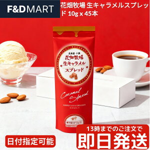 Ԕq LXvbh 10g 45{ |[V  p [Og ACX gbsO kC \ XC[c L\[X َq Ɩp e p Z Ƃ낯 HAN