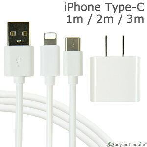 iphone [dZbg [dP[u type-cP[u ^CvC P[u 2{Zbg ACRZg ACA_v^ USBRZg |Cg ۂ艿i