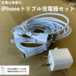 iPhone [d P[u ACtH 1m [d RZg ac USB A_v^ f[^ ʐM 