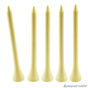 y1{/20~zSt eB[ EbheB[ 40{ ؐ jXh V[geB[ OeB[ 38mm 54mm 70mm 83mm Ehpi Stpi ܂Ƃߔ