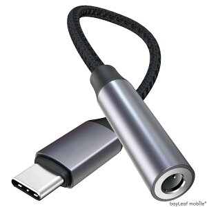 ^CvC Cz ϊ iPhone15 Pro Max ACtH iPhone iPad Ή USB Type-C iPad Pro mini Cz ϊ A_v^ wbhz X}z AhCh 3.5mm DAC DARo[^[ D/A ubN