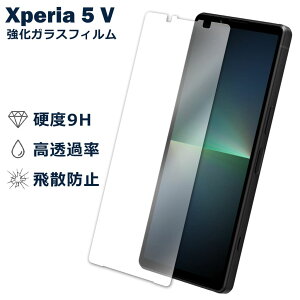 Xperia 5 V SO-53D SOG12 XQ-DE44 �t�B���� �K���X�t�B���� �t���t�B���� SONY �\�j�[ �K���X �ی�t�B���� �ی�V�[�g �ی�K���X �ی�V�[�� �t�B���� �V�[�g �����K���X �����K���X�t�B���� �d�x9H 