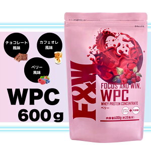 F&W(GtAh_u[) zGCveC WPC `R[g JtFI x[ 600g ςܗL74%  vʃXv[t