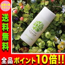 16日9:59までポイント10倍【コハルト公式】歯を白く ホワイトニング 歯磨き粉 歯磨きジェル はははのは(30g/約1ヶ月分)