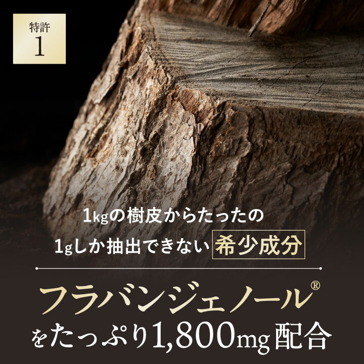 楽天市場】☆最大15％オフクーポン＆Pバック開催中 ☆ 【公式 