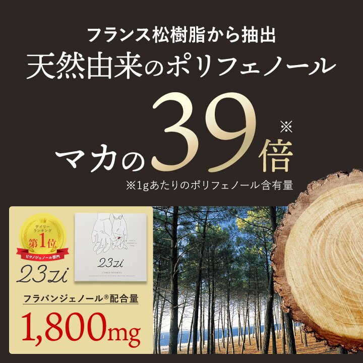 楽天市場】☆最大15％オフクーポン＆Pバック開催中 ☆ 【公式 