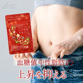 【公式】 お腹周りの脂肪を減らす お腹の脂肪 もっと、いつもを、そえて。 機能性表示食品 サプリ すって、はいて。 120粒 ｜ 内臓脂肪 中性脂肪 血糖値 皮下脂肪 [ ターミナリアベリリカ サラシア ] 送料無料