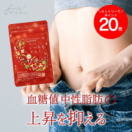 ＼エントリーで全品P20倍／ 【公式】 お腹周りの脂肪を減らす お腹の脂肪 もっと、いつもを、そえて。 機…