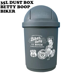 35L �_�X�g�{�b�N�X BT-BIKER GRY �y �x�e�B�u�[�v �o�C�J�[ �z 35���b�g�� �O���[ �x�e�B �A�����J�� ���r���O ������� �C���e���A �ӂ��t�� ���ݔ� ��^ �傫�� ���[ ��������