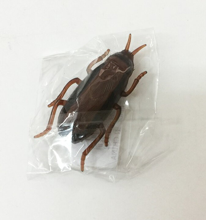 楽天市場 メール便ok リアル 動くゴキブリ いたずらグッズ ペットグッズ パーティグッズ 犬 猫 ペット用品 おもちゃ ジョークグッズ ドッキリ フェイク ふぁんくる