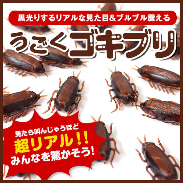 楽天市場 メール便ok リアル 動くゴキブリ いたずらグッズ ペットグッズ パーティグッズ 犬 猫 ペット用品 おもちゃ ジョークグッズ ドッキリ フェイク ふぁんくる