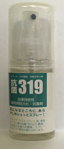 ItBXE{݁Eƒ̎_ R 319 hJr GAR hAmu \h 