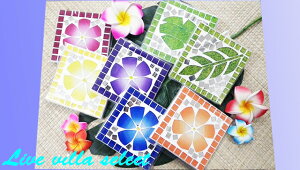 Jt UCNR[X^[ tWpj vA Xe oii[t AWA nCA G  R[X^[ CeA 