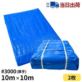 ブルーシート 10m×10m ＃3000 厚手 2枚入