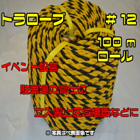 楽天市場 駐車場 ロープの通販