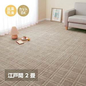 �yI�z ���� �R�ہE�h�L���H�̕��D�J�[�y�b�g �V�I�� �]�ˊ�2�� 600098620 �O���[ 176×176cm �t���[�J�b�g �z�b�g�J�[�y�b�g�Ή�
