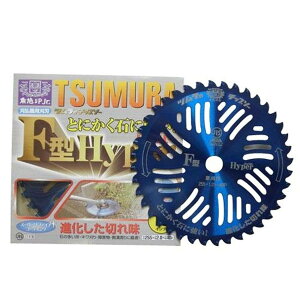 c(Ñ|) @p`bv\[F^nCp[ Oa255mm n40P p @