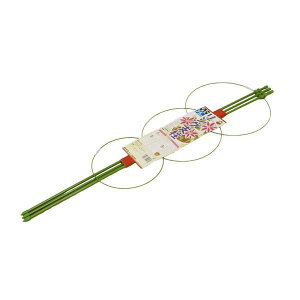 DAIM(rj[) Ox 75cm @|x ƒ؉ ǂ 8`9p