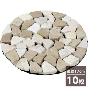 y܂ƂߔzRP(YAMAZEN) K[f}X^[ VR΃V[g a17cm x[W STR-17(BE) F10Zbg @UCN Eh}bg