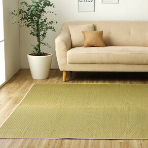 �yI�z�y����s�z�C�P�q�R ���Y�������O �J�[�y�b�g DX�v���[�� 140×200cm �a���_�� �R�ۖh�L �i�`������ 8261119�y�k�C���E����E�����s�z