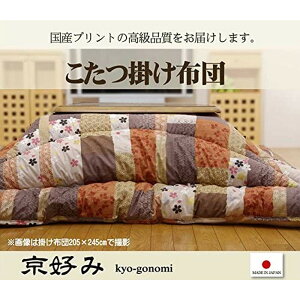 yizyszCPqR zc D |~Zbg |:205×285cm ~:190×260cm aykCEEsz