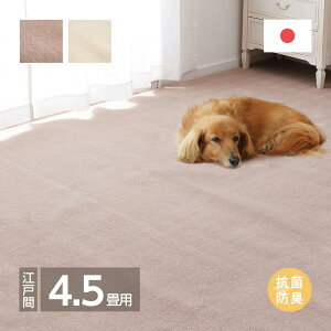 yIz  _炩pC̍RۃJ[ybg VG ]ˊ4.5 600094545 uE 261×261