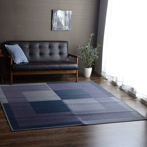 �yI�z�y����s�z�C�P�q�R ���Y�������O �J�[�y�b�g DX���[�j���O �l�C�r�[ 191×250cm �a���_�� ���\�� 8240820�y�k�C���E����E�����s�z